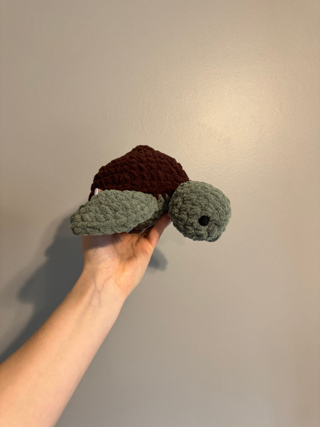 "Shelly" the Sea Turtle