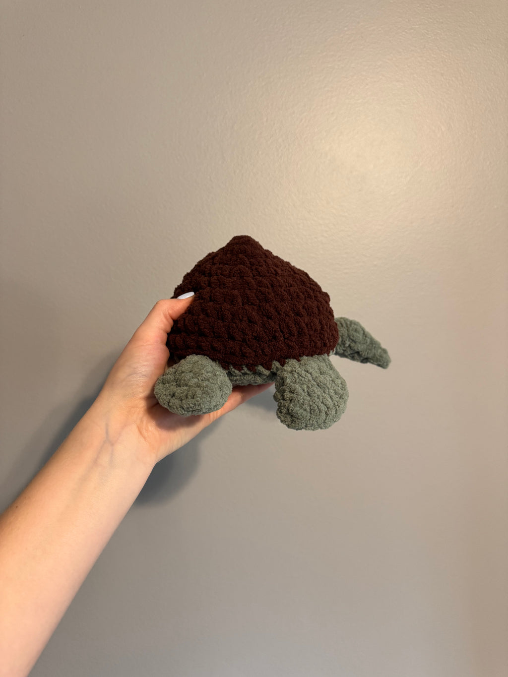 "Shelly" the Sea Turtle