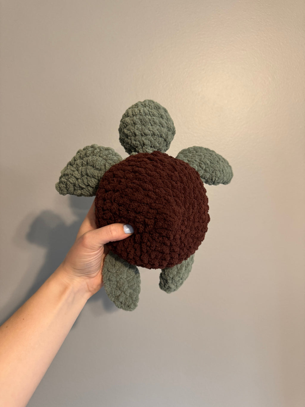 "Shelly" the Sea Turtle