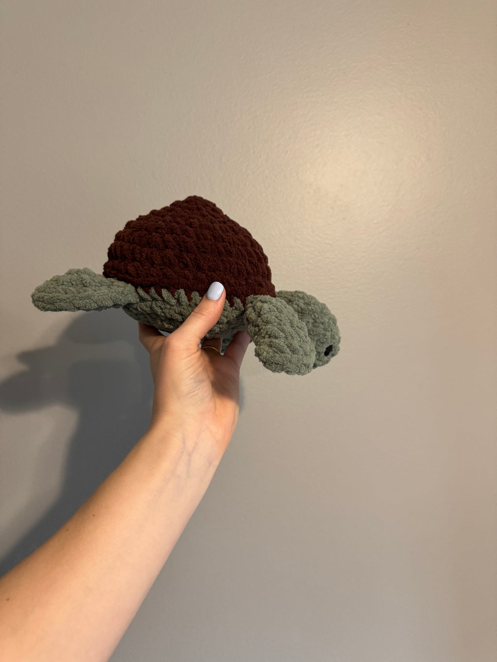 "Shelly" the Sea Turtle