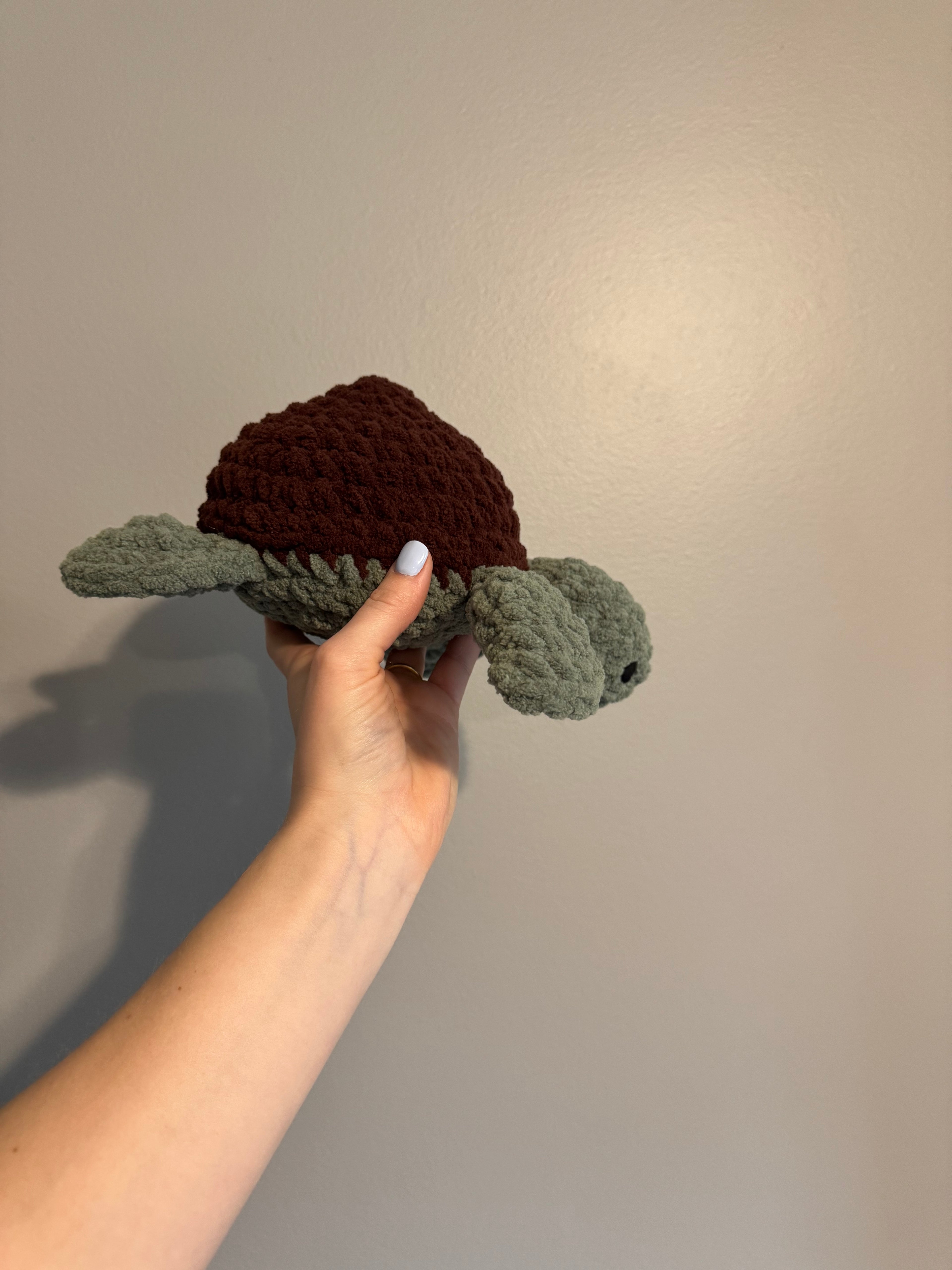 "Shelly" the Sea Turtle