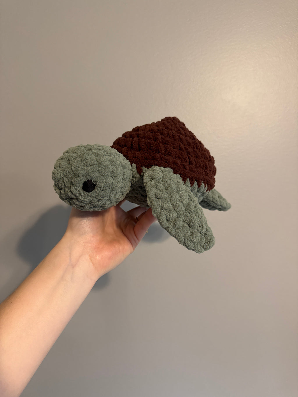 "Shelly" the Sea Turtle