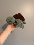 "Shelly" the Sea Turtle